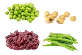 proteina vegetal