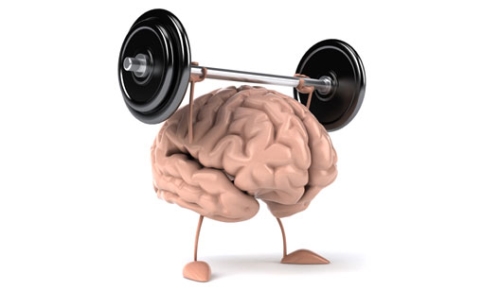 Exercitar o cérebro é tão importante quanto exercitar o corpo