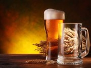 Benefícios e Malefícios da Cerveja